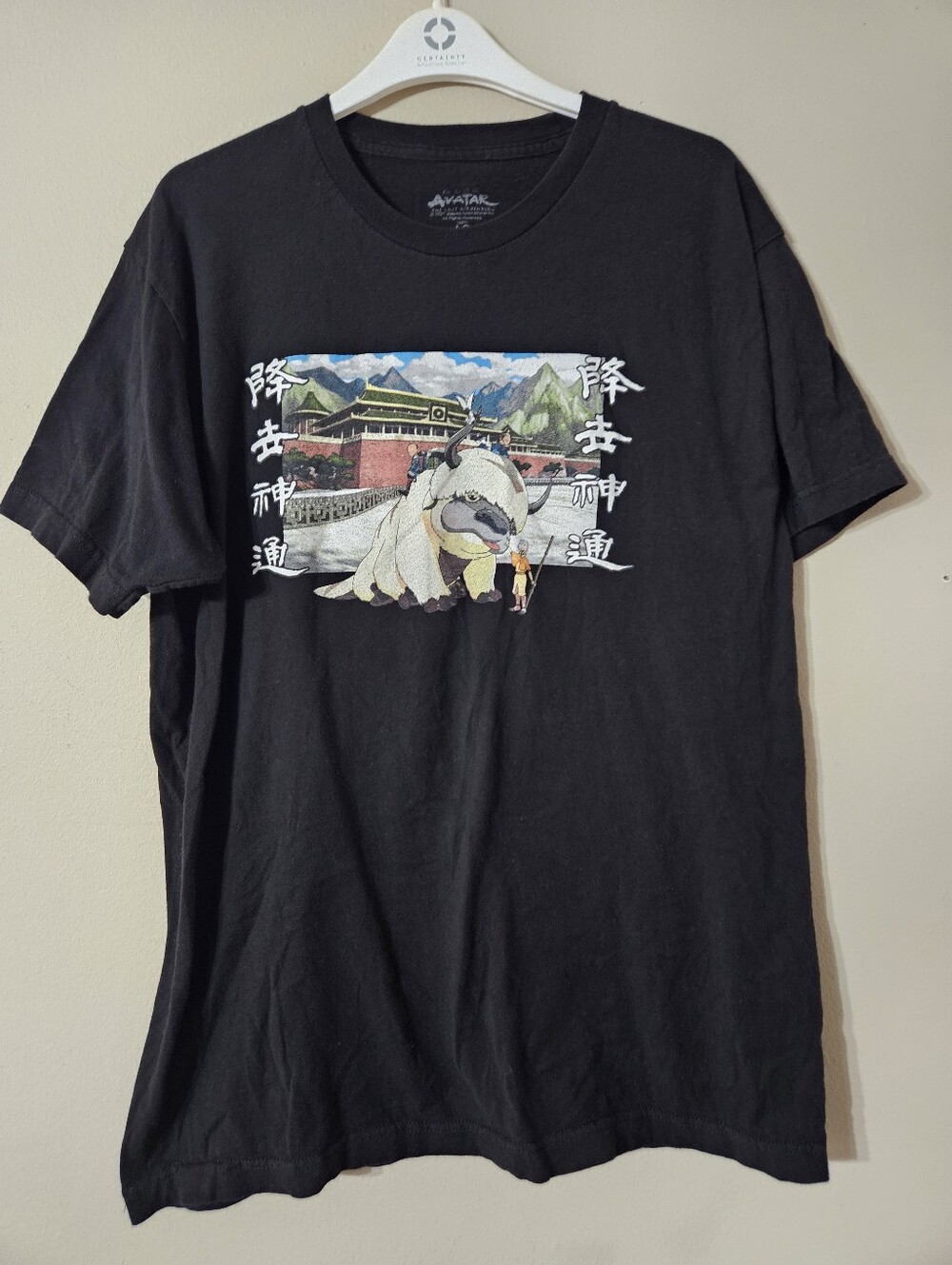 Avatar Airbender Anime Tshirt Large